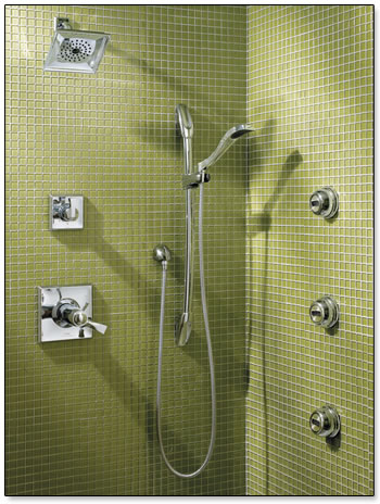 Delta Bathroom Showers