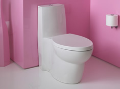 Kohler Saile One Piece Elongated Toilet