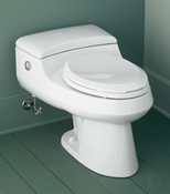 Kohler San Raphael Comfort Height Elongated One Piece Toilet