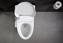 Toilet Seats and Washlets